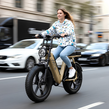 TST R7 - E-Bike - Wheelyshop