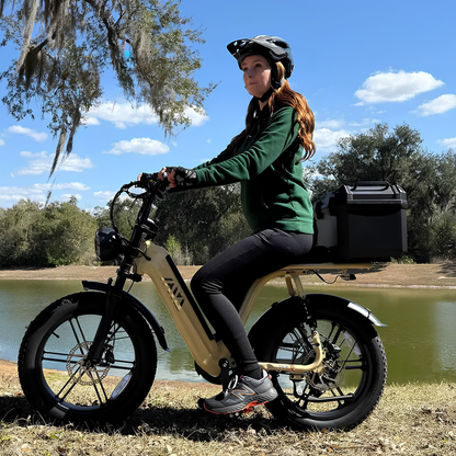 TST R7 - E-Bike - Wheelyshop