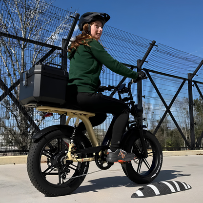 TST R7 - E-Bike - Wheelyshop