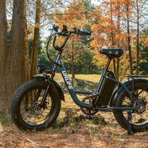 URLIFE E20 Pro E-Bike mit Vorderradfederung – Wheelyshop