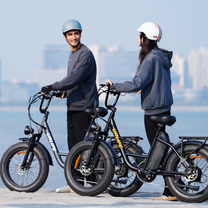 URLIFE E20 Pro E-Bike mit 7 Gängen – Wheelyshop