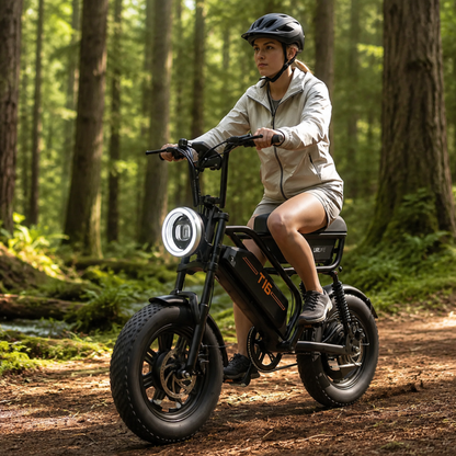 URLIFE T16 - E-Bike - Wheelyshop