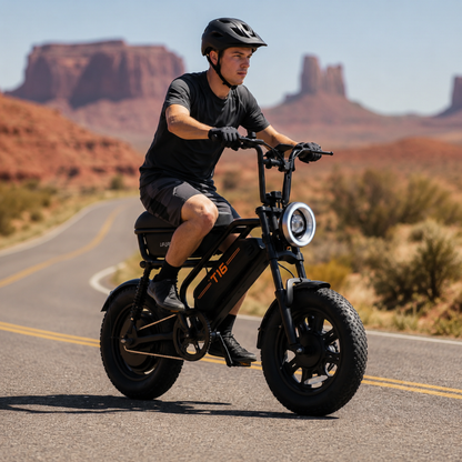 URLIFE T16 - E-Bike - Wheelyshop