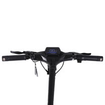 Lenker mit Display, Bremshebel und Tasten am Wheely - J18