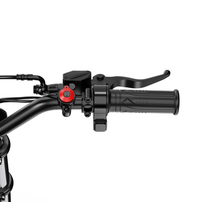 ZAWES GT1 - Elektro-Dirtbike - Wheelyshop