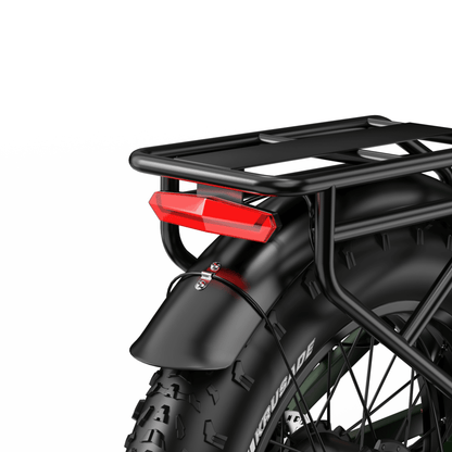 APEFOX RH20 - E-Bike - Wheelyshop