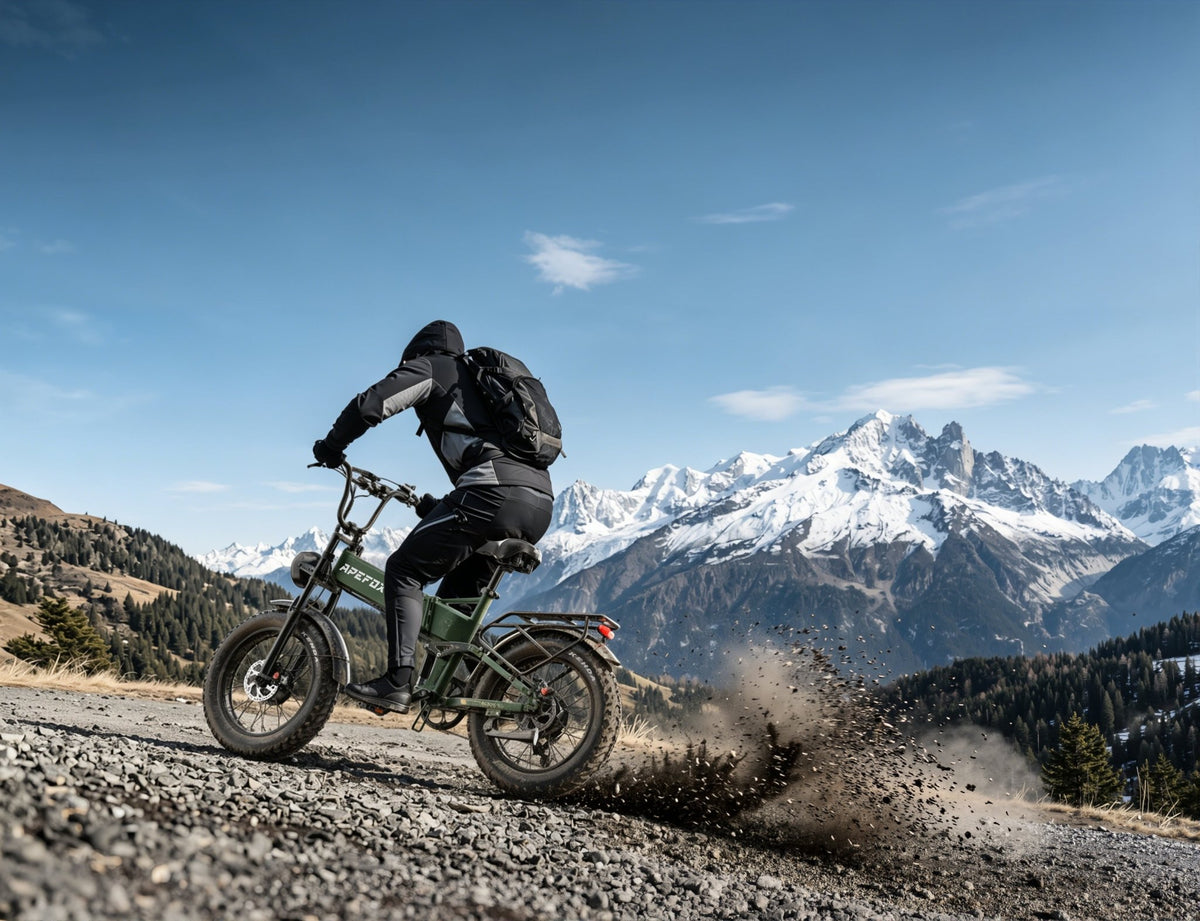 APEFOX RH20 - E-Bike - Wheelyshop