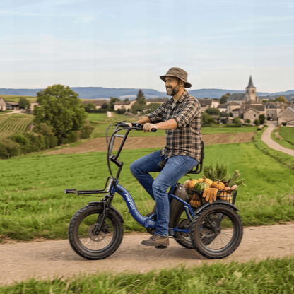 APEFOX RH30 - Elektro-Dreirad - Wheelyshop