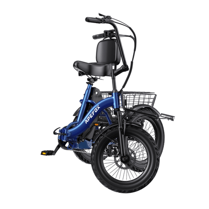 APEFOX RH30 - Elektro-Dreirad - Wheelyshop