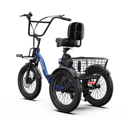 APEFOX RH30 - Elektro-Dreirad - Wheelyshop