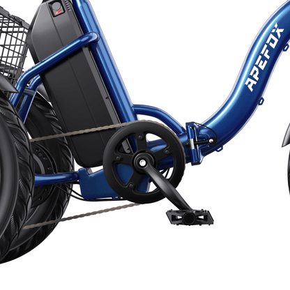 APEFOX RH30 - Elektro-Dreirad - Wheelyshop