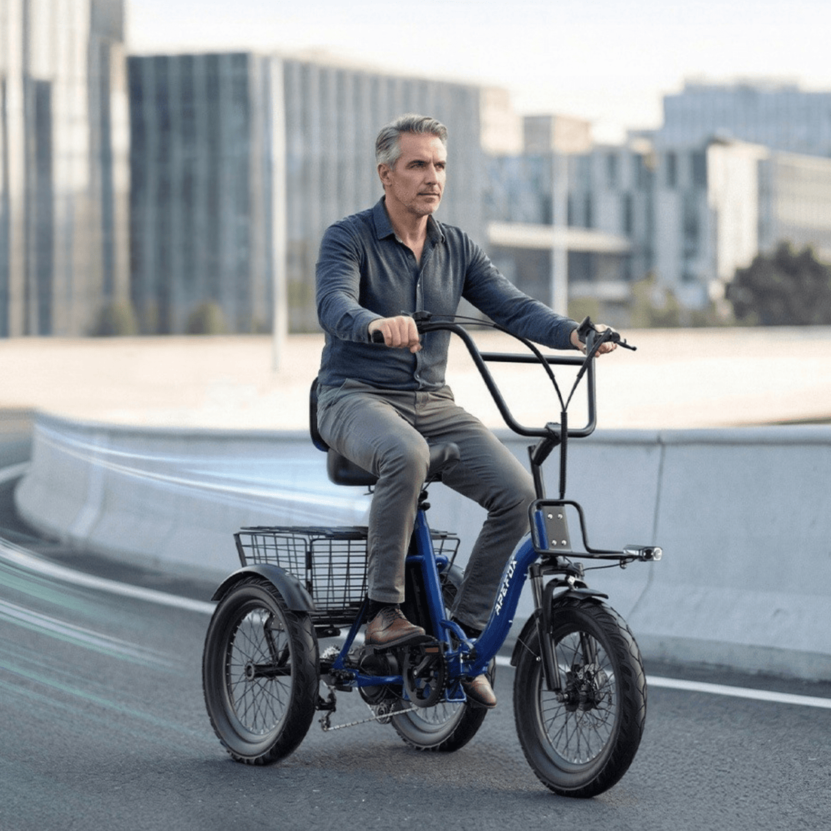 APEFOX RH30 - Elektro-Dreirad - Wheelyshop