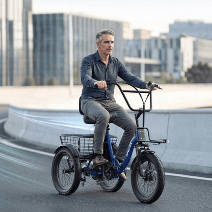APEFOX RH30 - Elektro-Dreirad - Wheelyshop
