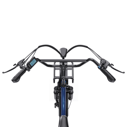 APEFOX RH30 - Elektro-Dreirad - Wheelyshop
