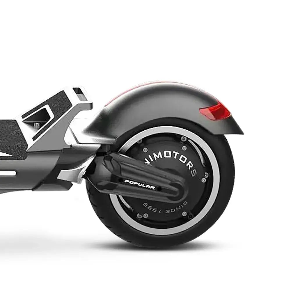 Hinterrad des DUALTRON POPULAR