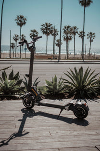 DUALTRON TOGO E-Scooter schräg von vorne am Meer