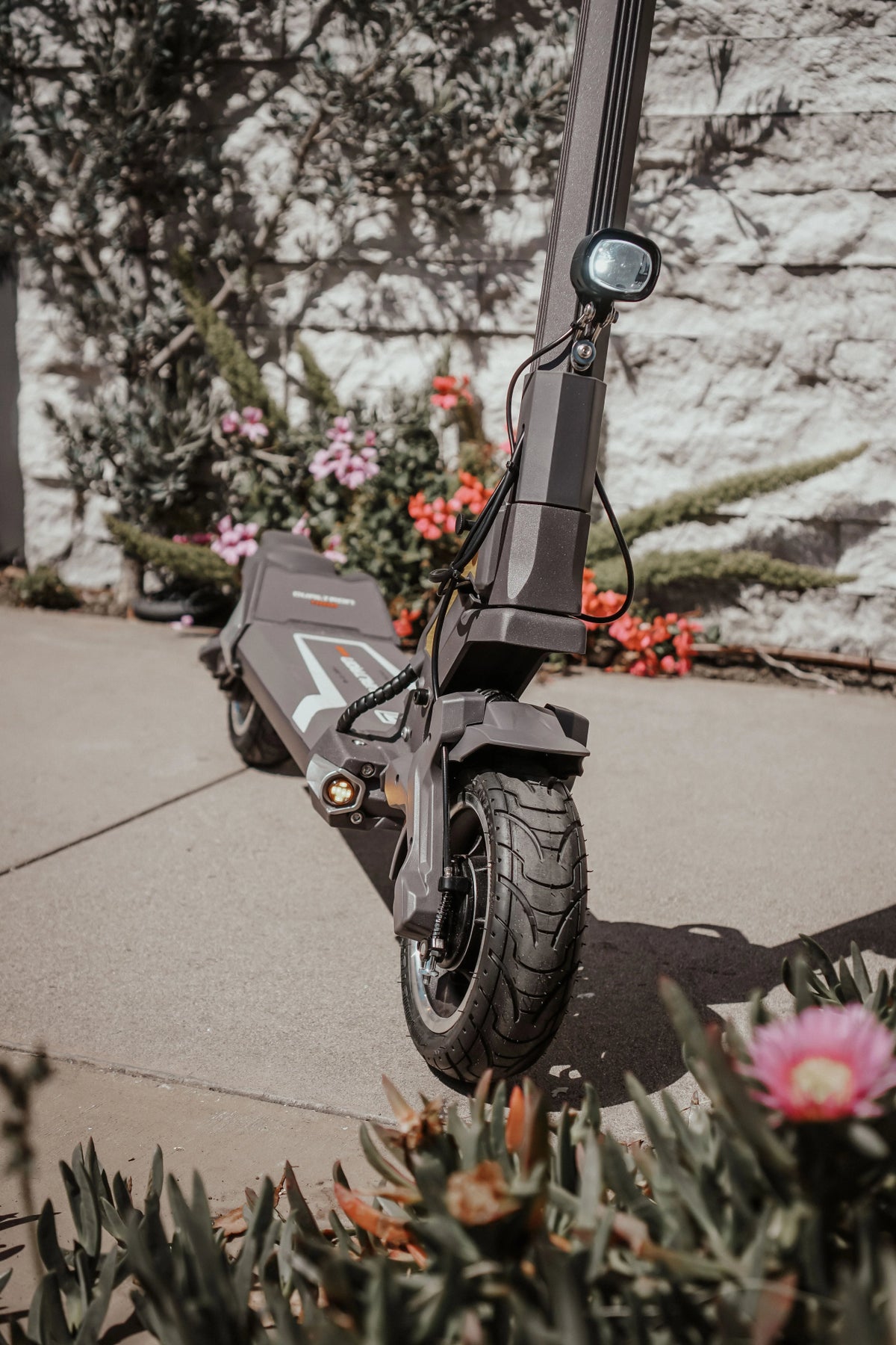 DUALTRON TOGO - E-Scooter - Wheelyshop