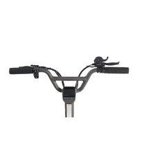 Lenker des DUALTRON TOGO
