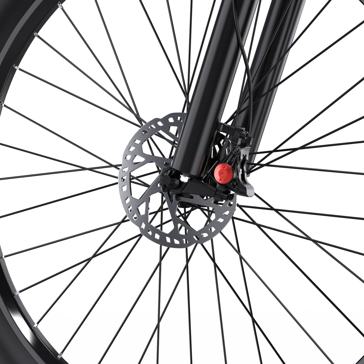 Duotts C29-K - E-Bike - Wheelyshop