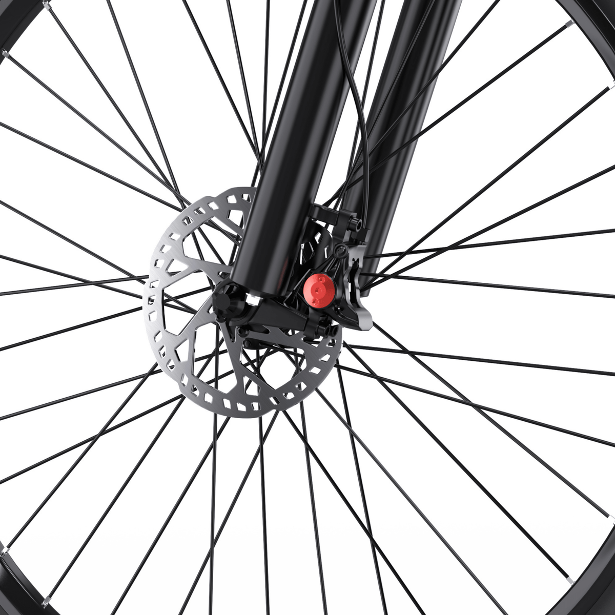 Duotts C29-L - E-Bike - Wheelyshop