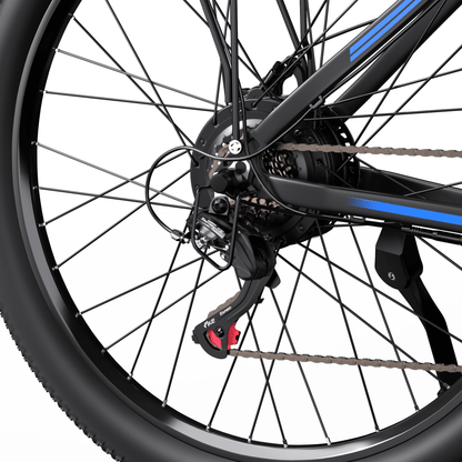 Duotts C29-L - E-Bike - Wheelyshop