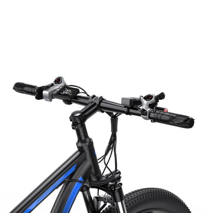 Duotts C29-L - E-Bike - Wheelyshop