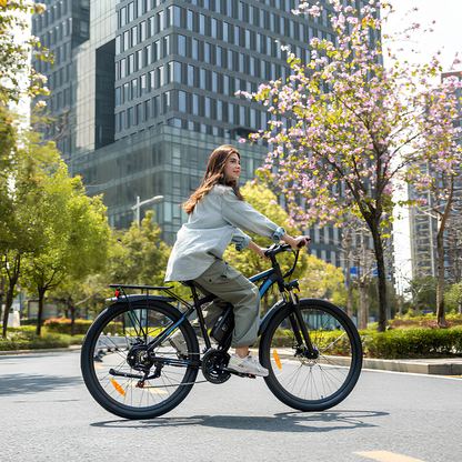 Duotts C29-L - E-Bike - Wheelyshop