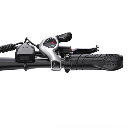 Duotts C29-L - E-Bike - Wheelyshop