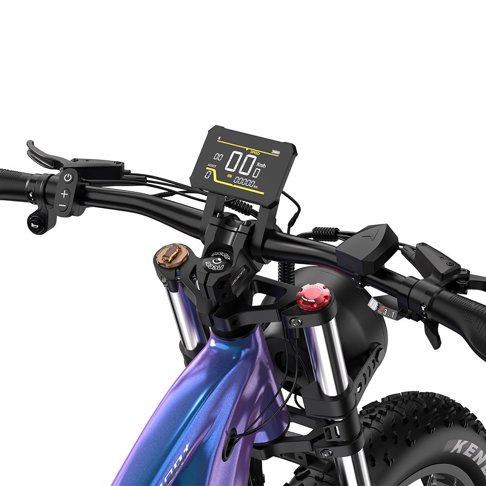 Duotts E26 - E-Bike - Wheelyshop