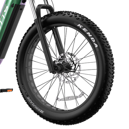 Duotts E26 - E-Bike - Wheelyshop