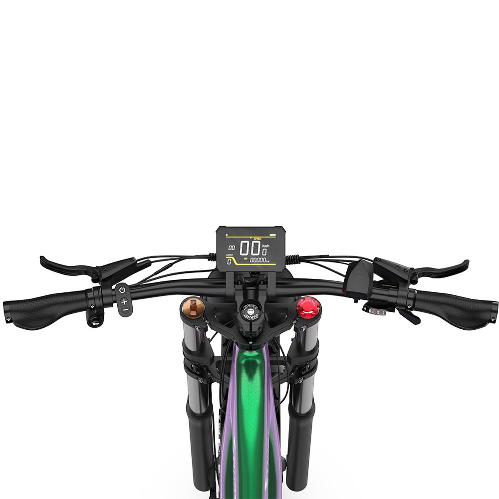 Duotts E26 - E-Bike - Wheelyshop