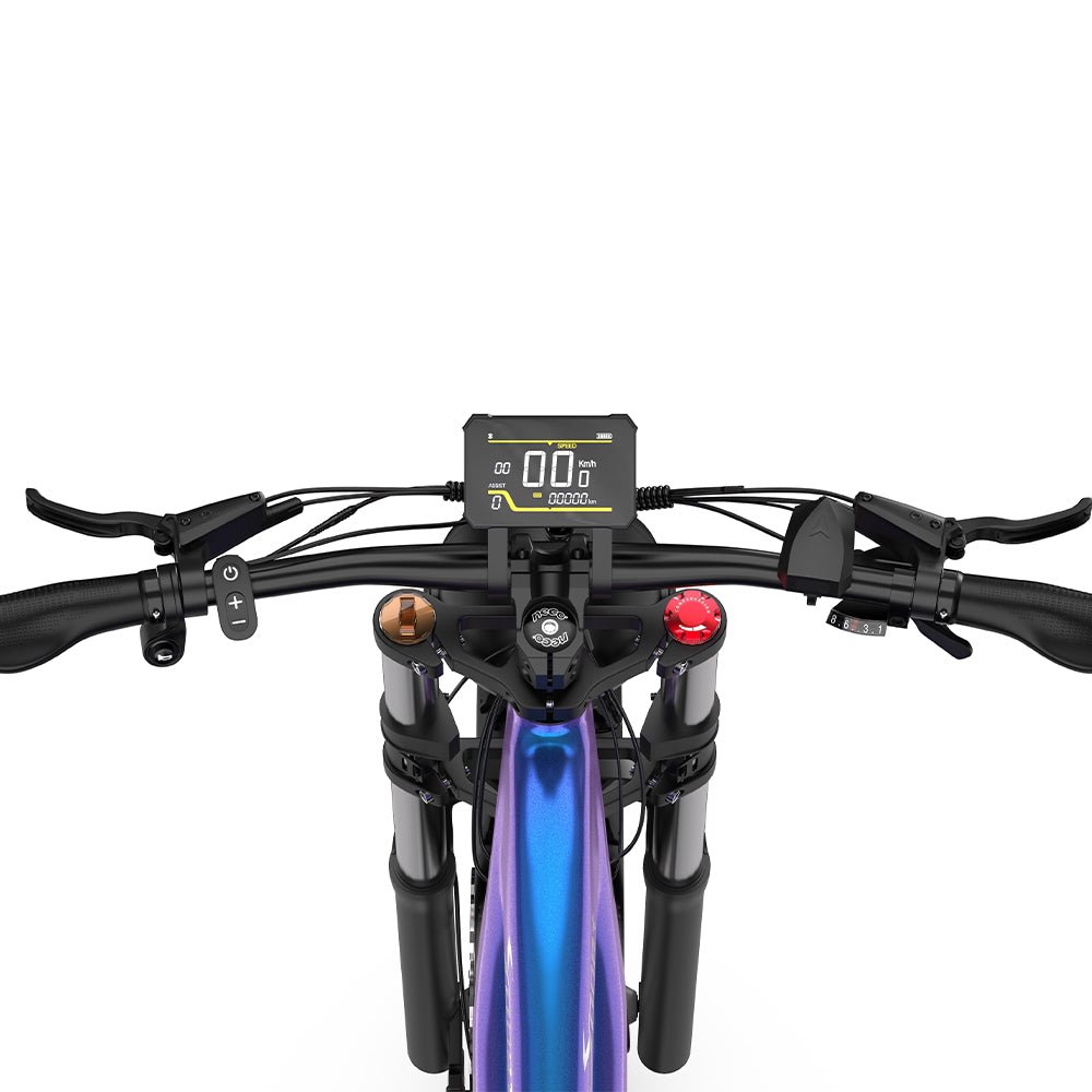 Duotts E26 - E-Bike - Wheelyshop