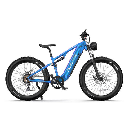 Duotts E26 - E-Bike - Wheelyshop