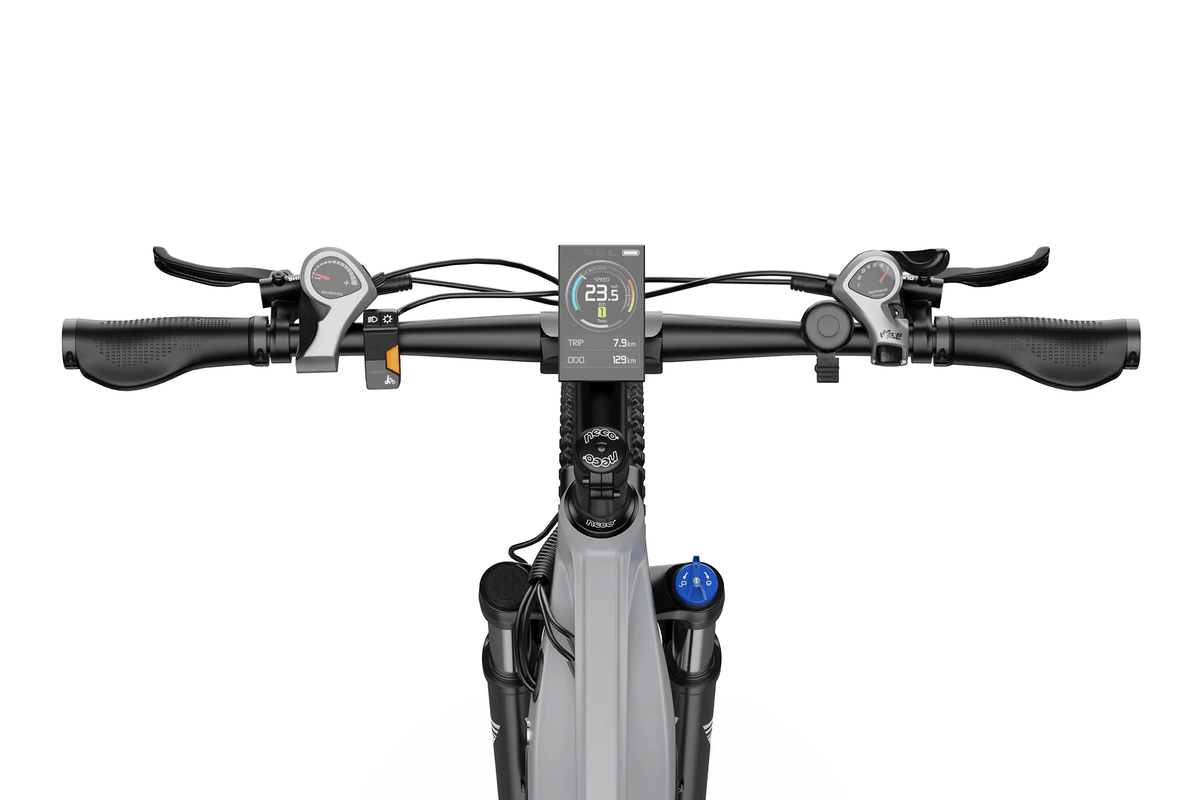 Duotts E29 - E-Bike - Wheelyshop