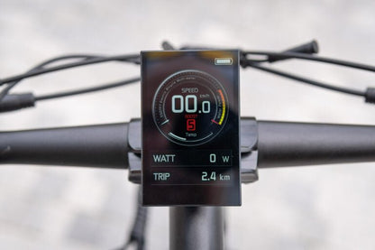Duotts E29 - E-Bike - Wheelyshop
