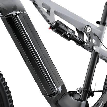 Duotts E29 - E-Bike - Wheelyshop