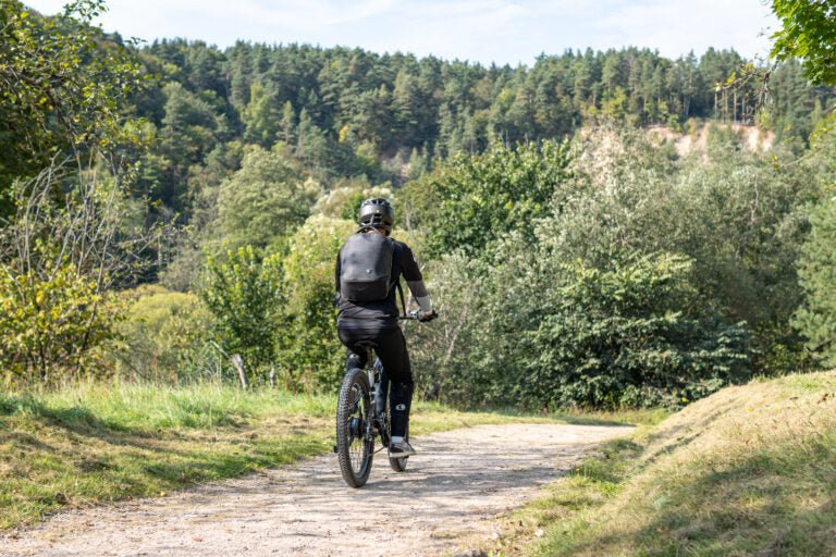 Duotts E29 - E-Bike - Wheelyshop