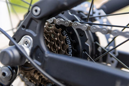 Duotts E29 - E-Bike - Wheelyshop