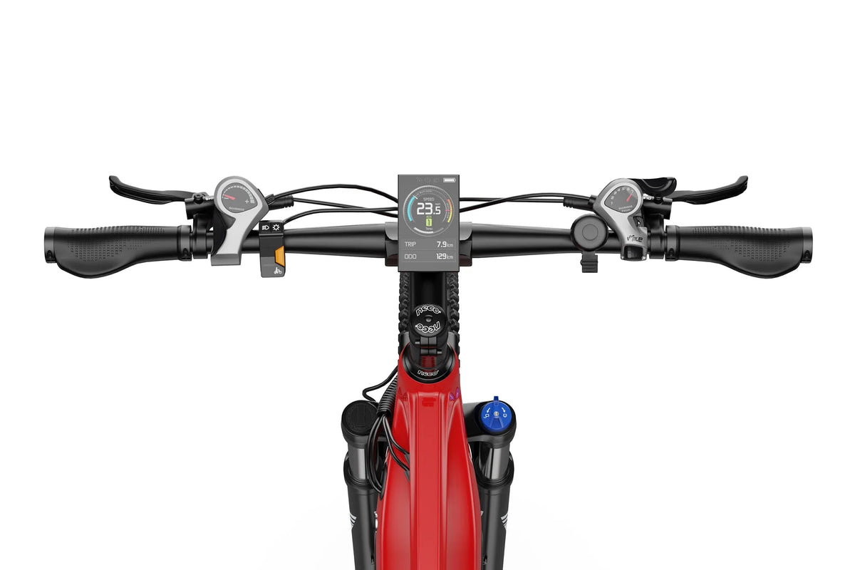 Duotts E29 - E-Bike - Wheelyshop