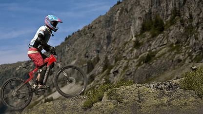Duotts E29 - E-Bike - Wheelyshop