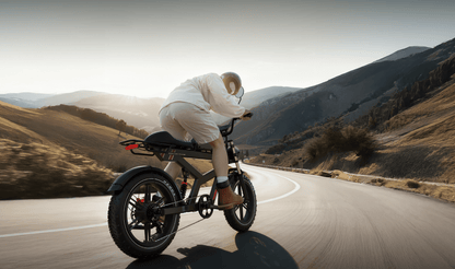 Duotts F20 - E-Bike - Wheelyshop