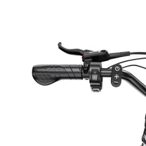 Griff und Bedienelemente am Lenker des Duotts F20
