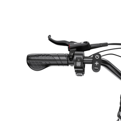 Duotts F20 - E-Bike - Wheelyshop