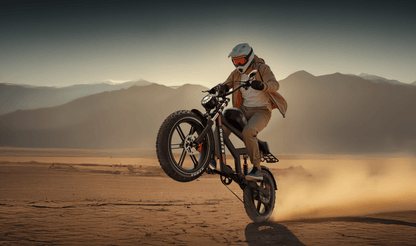 Duotts F20 - E-Bike - Wheelyshop