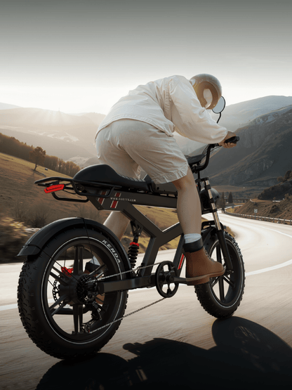 Duotts F20 - E-Bike - Wheelyshop