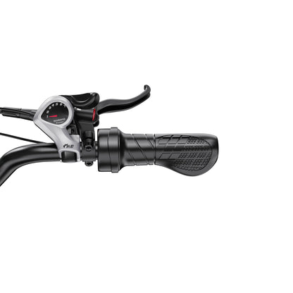 Duotts F20 - E-Bike - Wheelyshop
