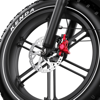 Duotts F20 - E-Bike - Wheelyshop