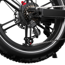 Hinterrad des Duotts F20