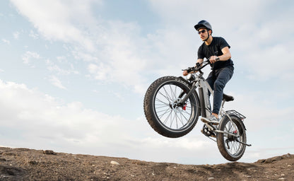 Duotts F26 Lite - E-Bike - Wheelyshop