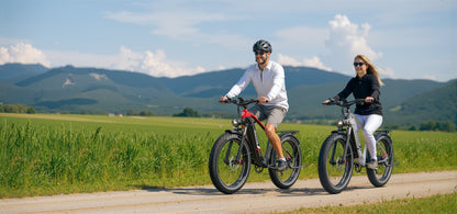 Duotts F26 Lite - E-Bike - Wheelyshop